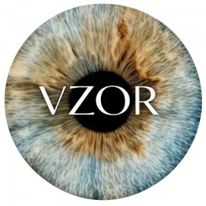 VZOR